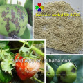 Agrochemical Pesticides Fungicide Kresoxim-methyl 95%TC 50%wdg Price CAS 143390-89-0